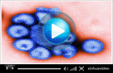 ҕ�l���}��ȫ������i����